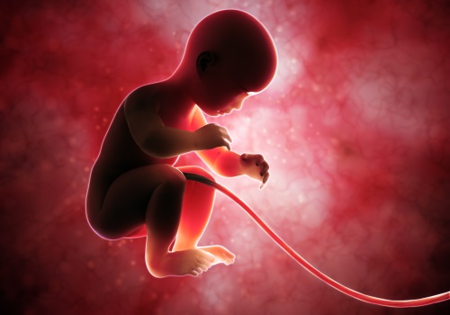 Un nuevo test de fertilidad basado en la hormona antimulleriana