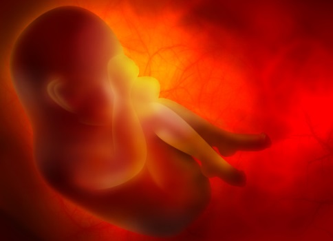 El grupo sanguíneo y su relación con la fertilidad de la mujer