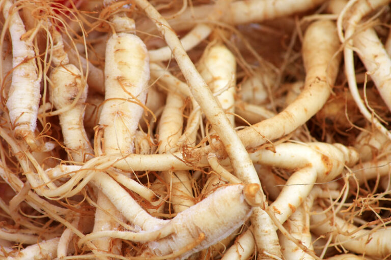 ginseng rojo coreano propiedades