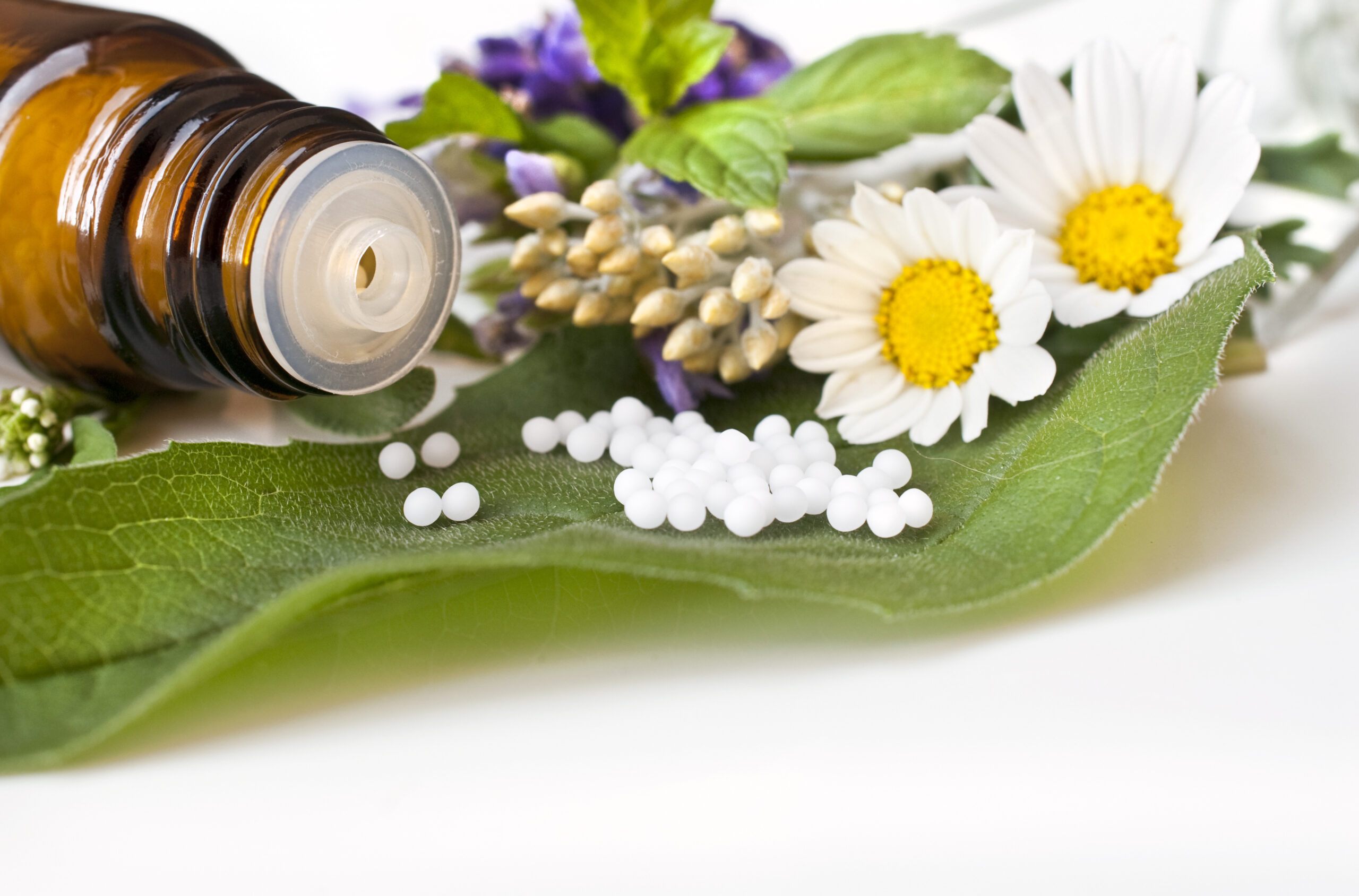 Propiedades de las flores de California